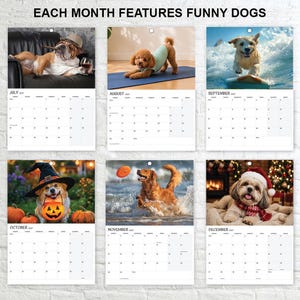 May include: A wall calendar titled EACH MONTH FEATURES FUNNY DOGS, displaying six pages for July through December. Each page features a photograph of a dog, including a bulldog, a poodle, a golden retriever, a corgi, and a shih tzu, with a grid.