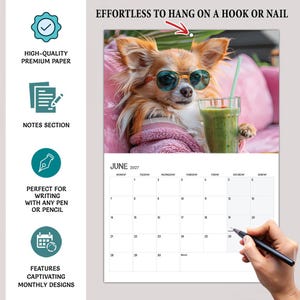 May include: A wall calendar for June 2027 featuring a long-haired dog wearing sunglasses and a pink sweater while holding a green smoothie. The calendar includes a grid for dates, a notes section, and text stating EFFORTLESS TO HANG ON A HOOK OR NAIL.