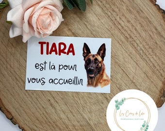 Plaque boite au lettre pour chien  personnalisée