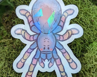 Colorful Tarantula Sticker - Glossy, Water Resistant Vinyl