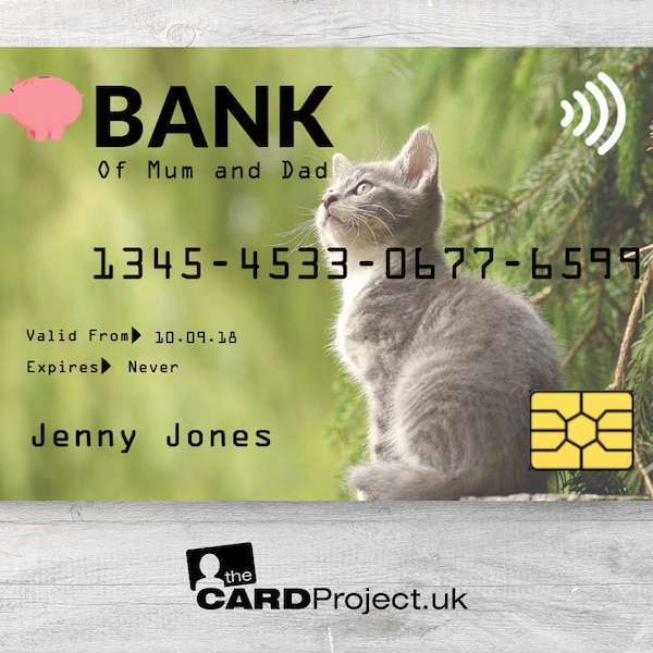 Childs Credit Card, Kitten Design, Novelty Play Time Money for Kids