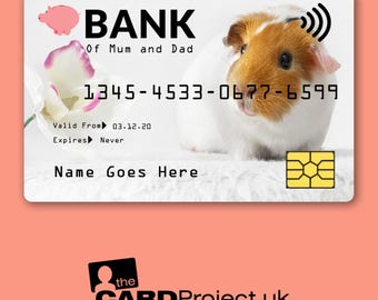 Childs Credit Card, Guinea Pig Design, Novelty Play Time Money for Kids