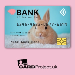 Kinder Kreditkarte, Baby Bunny Rabbit Design, Neuheit Spielzeit Geld für Kinder