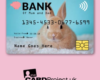 Childs Credit Card, Baby Bunny Rabbit Design, Novelty Play Time Money for Kids