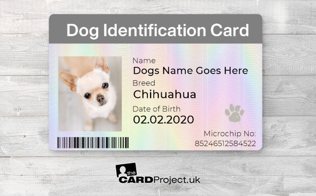 Dog Identification Card Your Canine's ID Solution, Eco Friendly and ...