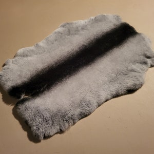 Rex rabbit fur pelt