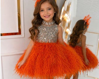 Orange Baby Girl Dress, Luxury Feather Tutu Dress, Princess Birthday Outfit, Flower Girl Dress, Pageant Dress, Toddler Party Dress