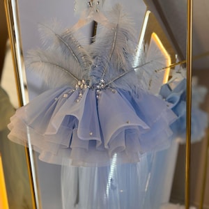 Blue Baby Girl Dress with Feather, Blue Baby Pageant Dress, Special Occasion Dress for Girl, Blue Princess Dress, Blue Toddler Prom Dress