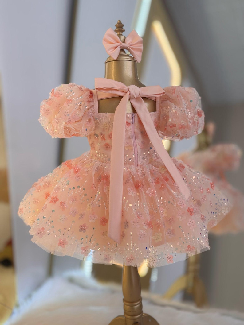 May include: A pink tulle dress with floral embroidery and a pink satin bow. The dress has puff sleeves and a full skirt.