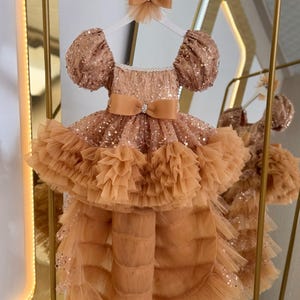 Gold Tulle Baby Dress with Tail, 1st Birthday Party Dress for Girl, Toddler Pageant Dress, Special Occasion Baby Dress, Toddler Prom Dress