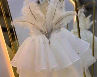 White Baby Pageant Dress with Feather, White Baptism Dress for Girl, Tulle White Princess Dress, 1st Birthday Party Dress,Baby Wedding Dress