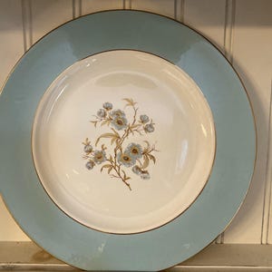 9 Homer Laughlin flower dinner plates