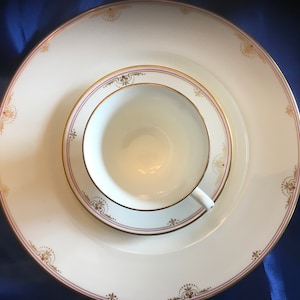 Vintage Classy Dinnerware Royal Court by Royal Worcester - Gold Border Pink Band Bone China Teacup & Saucer and Dinner Plate Set