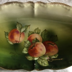 Vintage Beautiful Hand Painted Bavaria Oval Fruit Serving Bowl Display Centerpiece Trinket Dish Elegant Table Setting Fruit Bowl Nut Dish