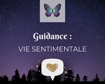 Guidance : Vie Sentimentale // Amour