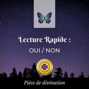 Lecture rapide OUI/NON : réponse de ma pièce de divination