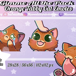 Orange Tabby Cat Emotes - Gimme All the - Twitch - Discord - YouTube - Kawaii - Chibi - Cute - 3 Pack