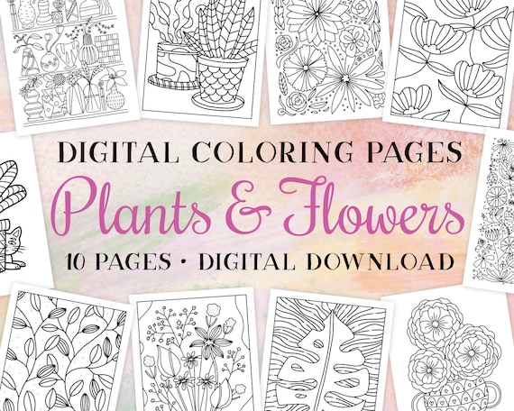 plants flowers coloring pages digital download printable etsy