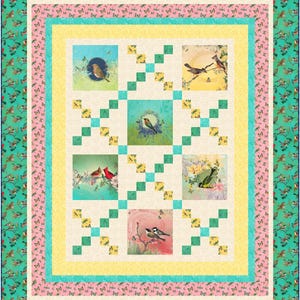 Peut inclure: Une courtepointe colorée sur le thème des oiseaux. La courtepointe a une bordure turquoise avec des motifs d'oiseaux et de fleurs. Le centre présente des panneaux carrés avec des illustrations d'oiseaux, reliés par des accents turquoise et jaunes. La courtepointe est bordée de rayures roses et jaunes.