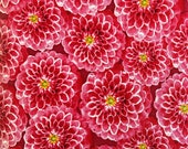 Prelude Pink Packed Dahlia Quilt Fabric by Wilmington Prints