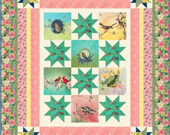 Wings & Wishes Throw Size Panel Star Quilt Pattern (digital download)