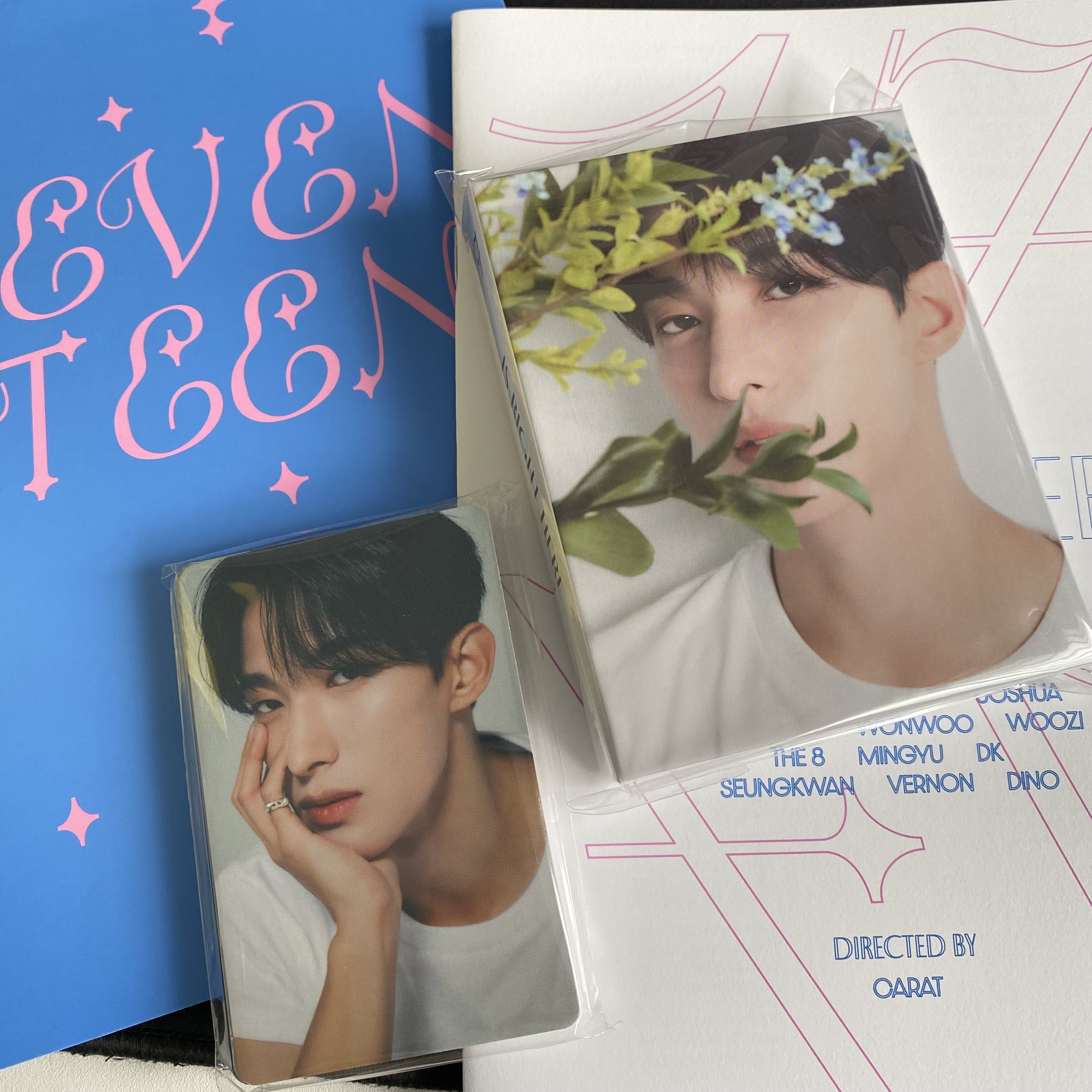 Official Seventeen Spill the Feels Seventeen Right Here DEAR Carat