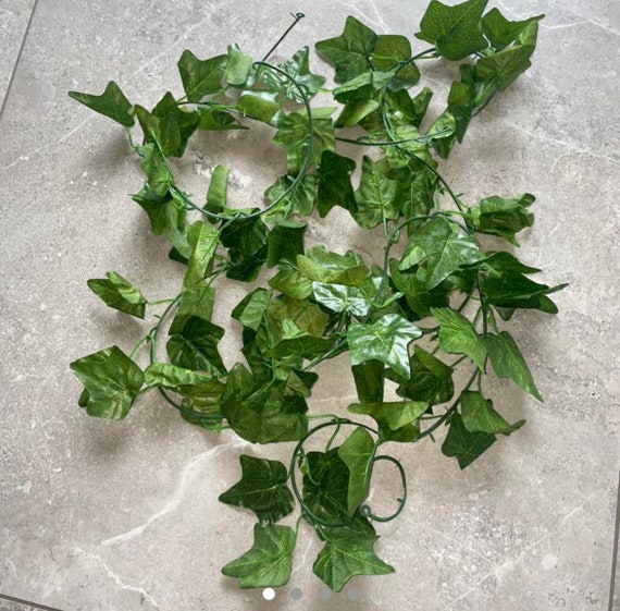 Artificial Ivy, Wall Hanging Ivy, Room Decor, Fancy Dress, Poison Ivy,  Artificial Flowers, Ivy, Wall Decor, Hanging Ivy, Ivy With Hooks 