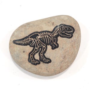 Dinosaur Fossil Rocks, Trex, Pterodactyls, Brontosaurus, Triceratops Perfect gifts for Geologist Future to be,Kids learning. Size 2 to 3in Trex