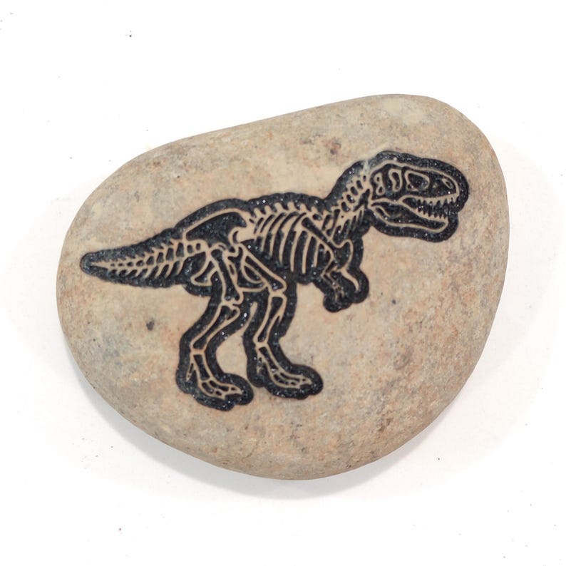 Dinosaur Fossil Rocks, Trex, Pterodactyls, Brontosaurus, Triceratops Perfect gifts for Geologist Future to be,Kids learning. Size 2 to 3in Trex