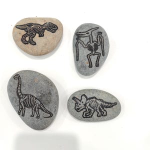 Dinosaur Fossil Rocks, Trex, Pterodactyls, Brontosaurus, Triceratops Perfect gifts for Geologist Future to be,Kids learning. Size 2 to 3in Bundle of Rocks