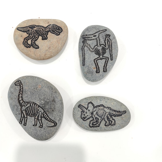 Dinosaur Fossil Rocks, Trex, Pterodactyls, Brontosaurus, Triceratops Perfect gifts for Geologist Future to be,Kids learning. Size 2 to 3in