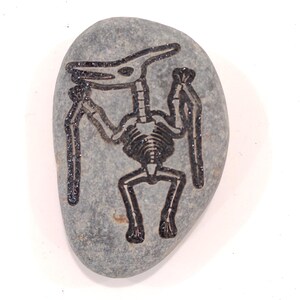 Dinosaur Fossil Rocks, Trex, Pterodactyls, Brontosaurus, Triceratops Perfect gifts for Geologist Future to be,Kids learning. Size 2 to 3in Pterodactyls