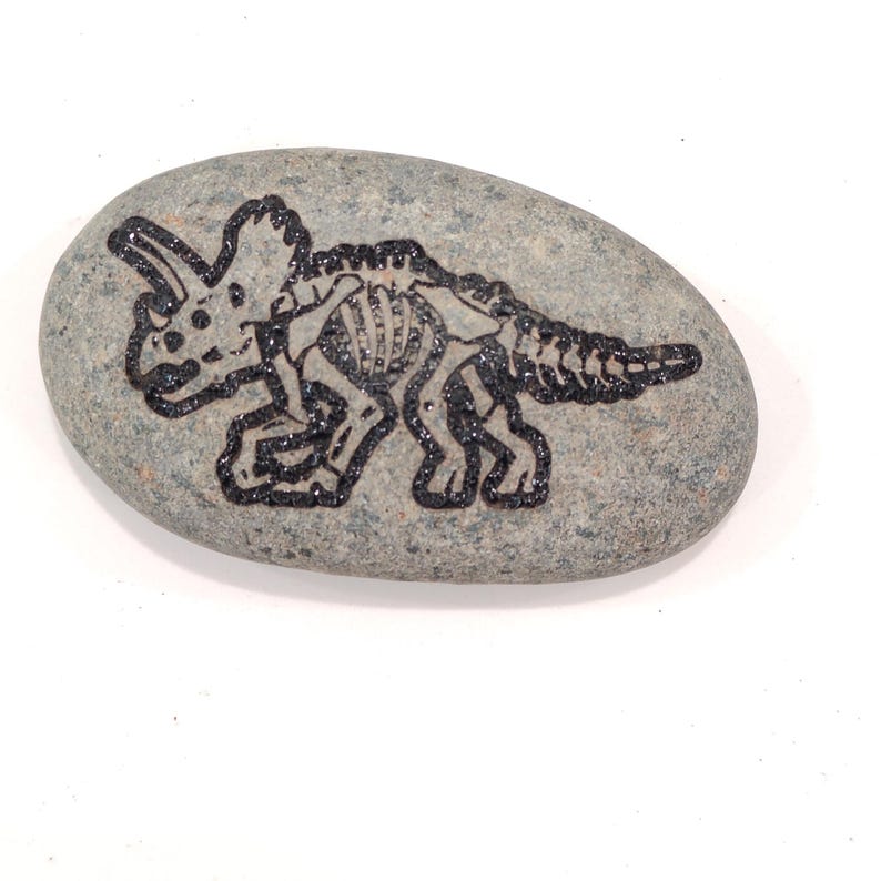 Dinosaur Fossil Rocks, Trex, Pterodactyls, Brontosaurus, Triceratops Perfect gifts for Geologist Future to be,Kids learning. Size 2 to 3in Triceratops