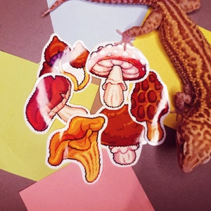 Mushroom Vinyl Stickers | Sticker Pack | Pixel Art | Cute | Cartoon | Planner | Laptop