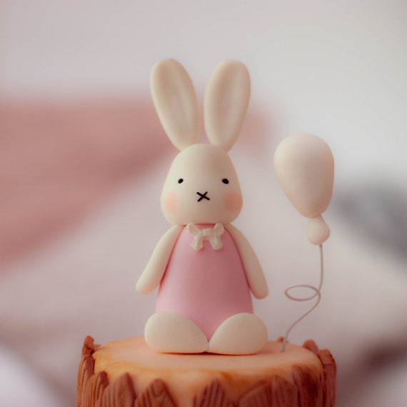 Topper de gâteau de lapin, topper de gâteau de ballon, premier anniversaire  de fille, décorations de douche de bébé, -  France