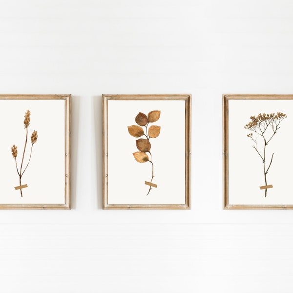 Simple Fall Botanical Set of 3 | 8x10 Autumn Art Digital Download Print