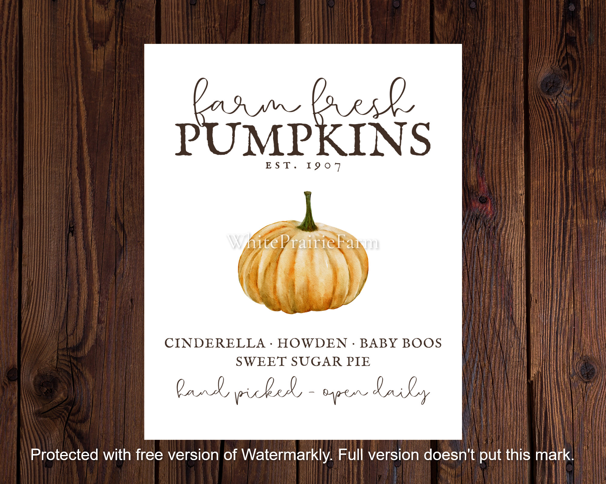 Farm Fresh Pumpkin Printable Sign | Digital Download Autumn Print ...