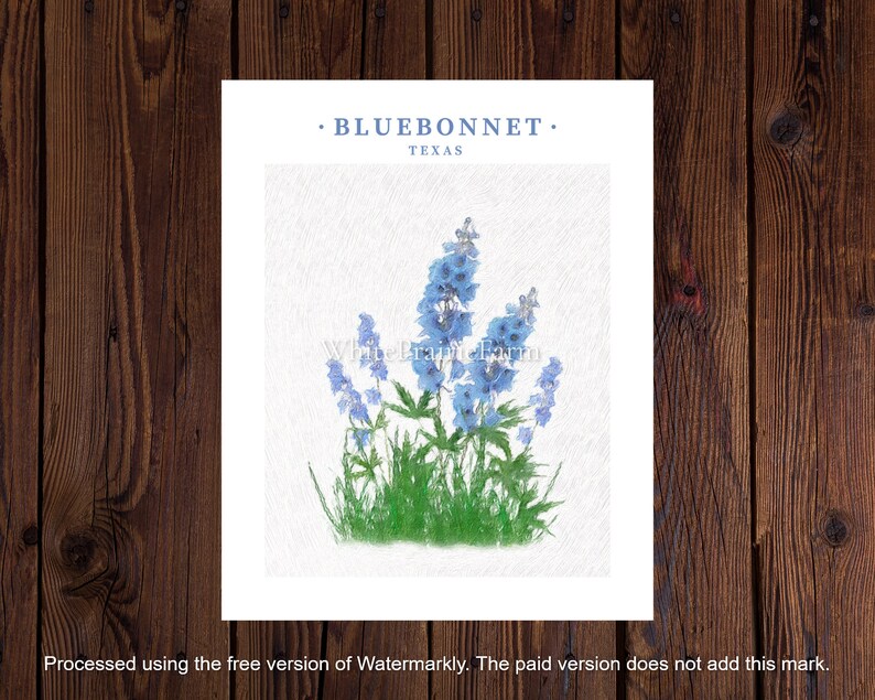Texas Bluebonnet Printable Sign Digital Download Flower Print 8x10 Texas Bluebonnet Printable Sign Digital Download Flower Print 8x10