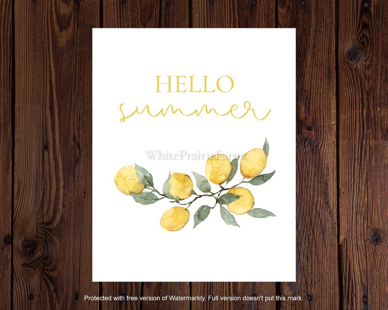Peut inclure: Impression blanche avec l'inscription "HELLO summer" en &eacute;criture jaune. En dessous, une illustration &agrave; l'aquarelle de citrons sur une branche avec des feuilles vertes. L'&oelig;uvre est sur fond blanc.