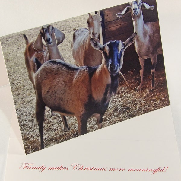 Goat Christmas Card Assortment