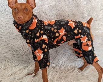 miniature pinscher clothes