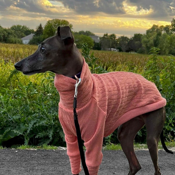 Cable Knit Sweater | Long-sleeve sweater for Italian Greyhounds