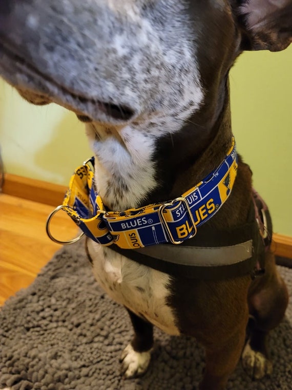 St. Louis Blues Collar Adjustable Dog Collar Martingale 