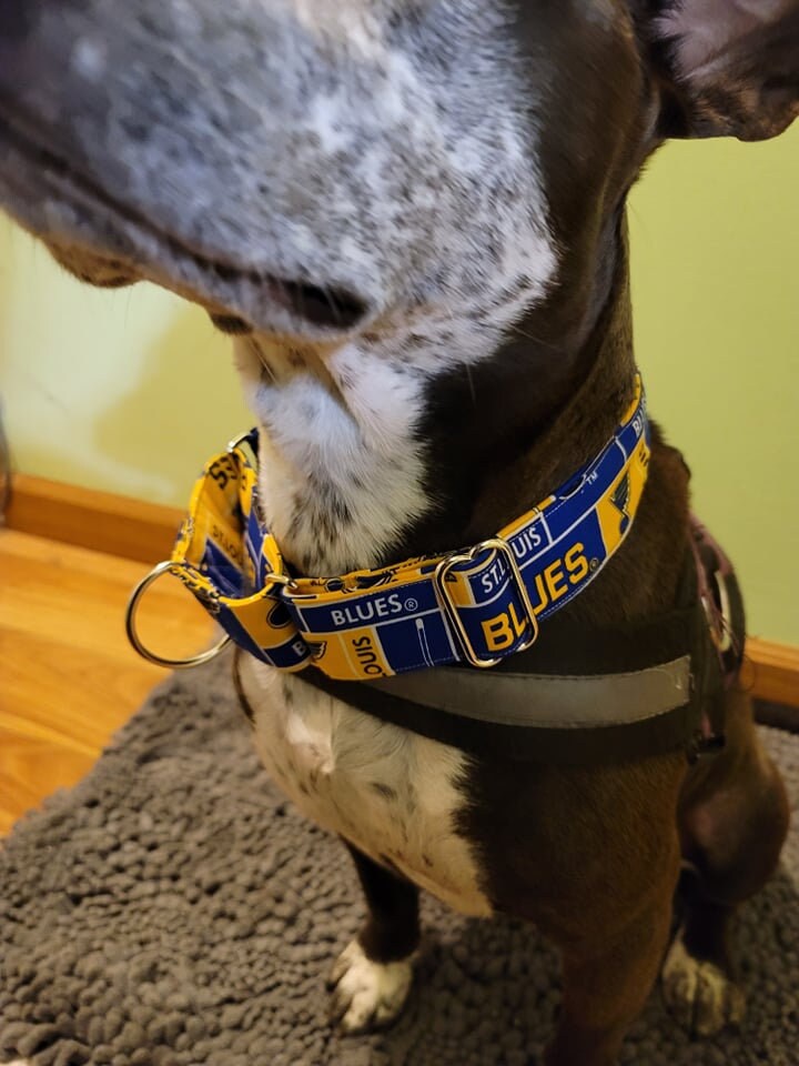 St louis blues dog collar cheap