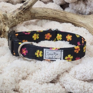 May include: Black dog collar with a floral pattern in yellow, orange, and pink flowers. The collar has a silver D-ring and a black buckle. The collar has a label that reads "Linnie Mae and Co."