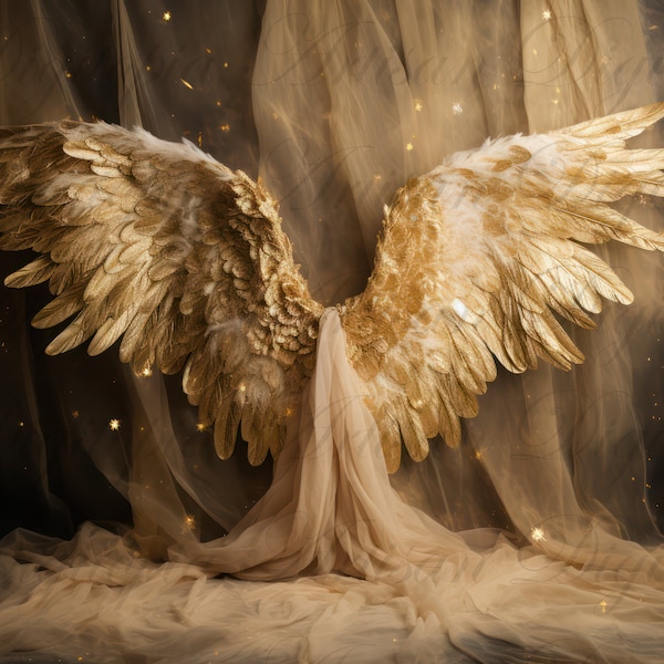 Gold Angel Wing Digital Backdrop for Maternity Bridal Boudoir, Photoshop Background, Photo Shoot Prop, Boho Digital Overlay, Set of 8 Images