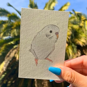 White Parakeet Print, Art & Collectibles, Bird Decor, Eco-Friendly, Bird Art, Hemp Paper, Bird Lovers Gift, Budgie Art