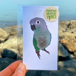 Green Cheek Conure Print, Art & Collectibles, Bird Decor, Eco-Friendly, Bird Art, Hemp Paper, Bird Lovers Gift, Conure Art, Parrot Art