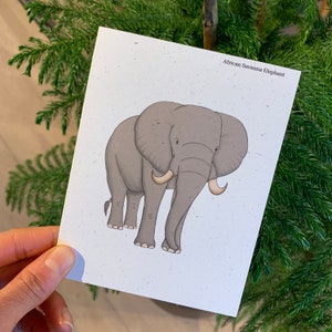 Cartão em branco do elefante da savana africana, cartão de recuperação, amante da vida selvagem, cânhamo, naturalista, presente para amantes da natureza, presente veterinário