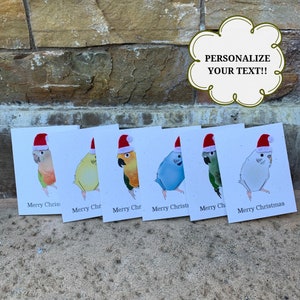 Vogel-Weihnachtskarten-Set, Weihnachtskarten-Set, Vogelliebhaber-Weihnachtskarte, Vogelbeobachter, einzigartige Weihnachtskarten, Conure, Wellensittich, Hanf